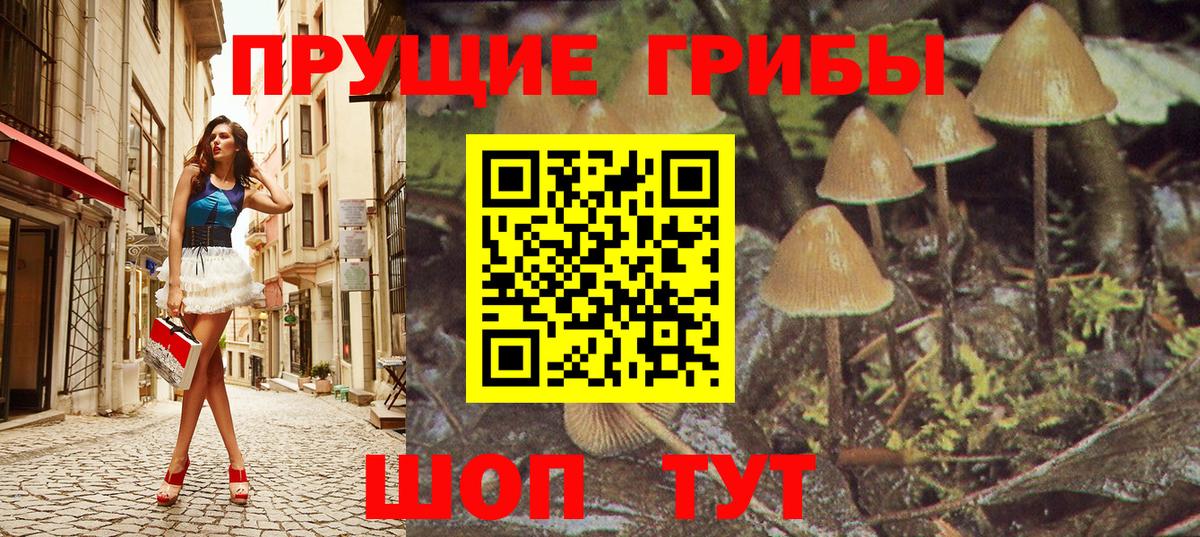 Псилоцибиновые грибы Magic Shrooms Кировск