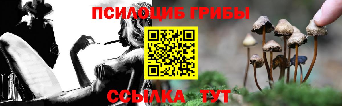 магазин  наркотиков  Галлюциногенные грибы прущие грибы  Вход с VPN  Кировск 